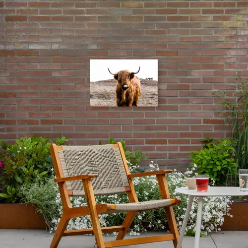 Schotse hooglander - Landschap - Koe - Bruin - Dieren - Natuur Tuinposter op houten frame 2 cm dik klein -sfeer3