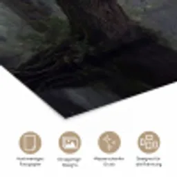 Zwanen - Rivier - Bos poster papier klein -tcloseup_DE