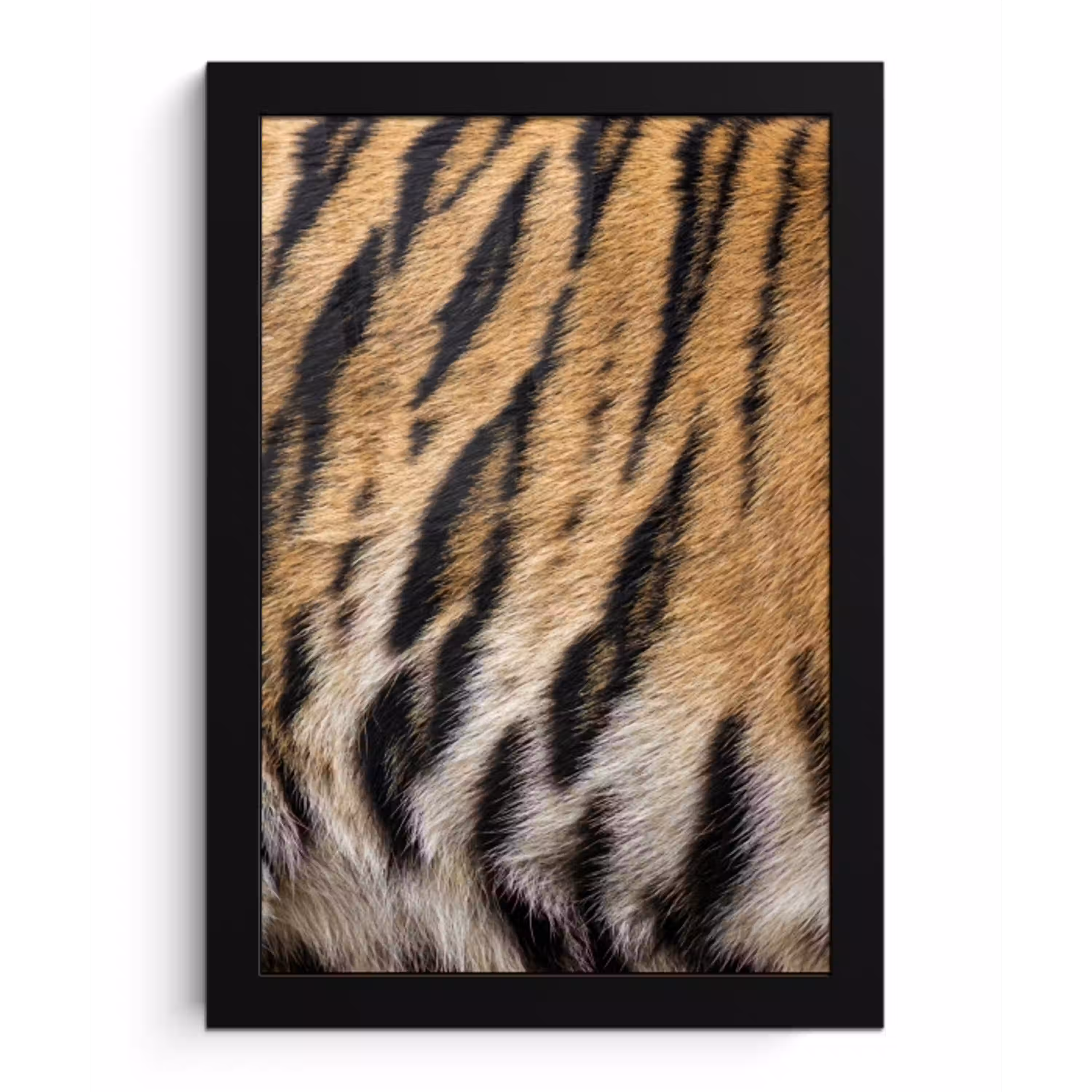 Tijgervacht - Klassiek - Zwart fotolijst zwart zonder passe partout klein -3d