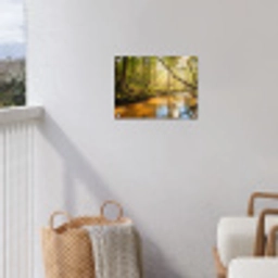 Bos - Beek - Zonlicht - Natuur - Groen tuinposter los doek klein -sfeer8