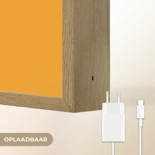 Hond - Oranje - Roos - Valentijn Light Box met batterij (Wandlamp) middel -USP_websiteoplaadbaarNL
