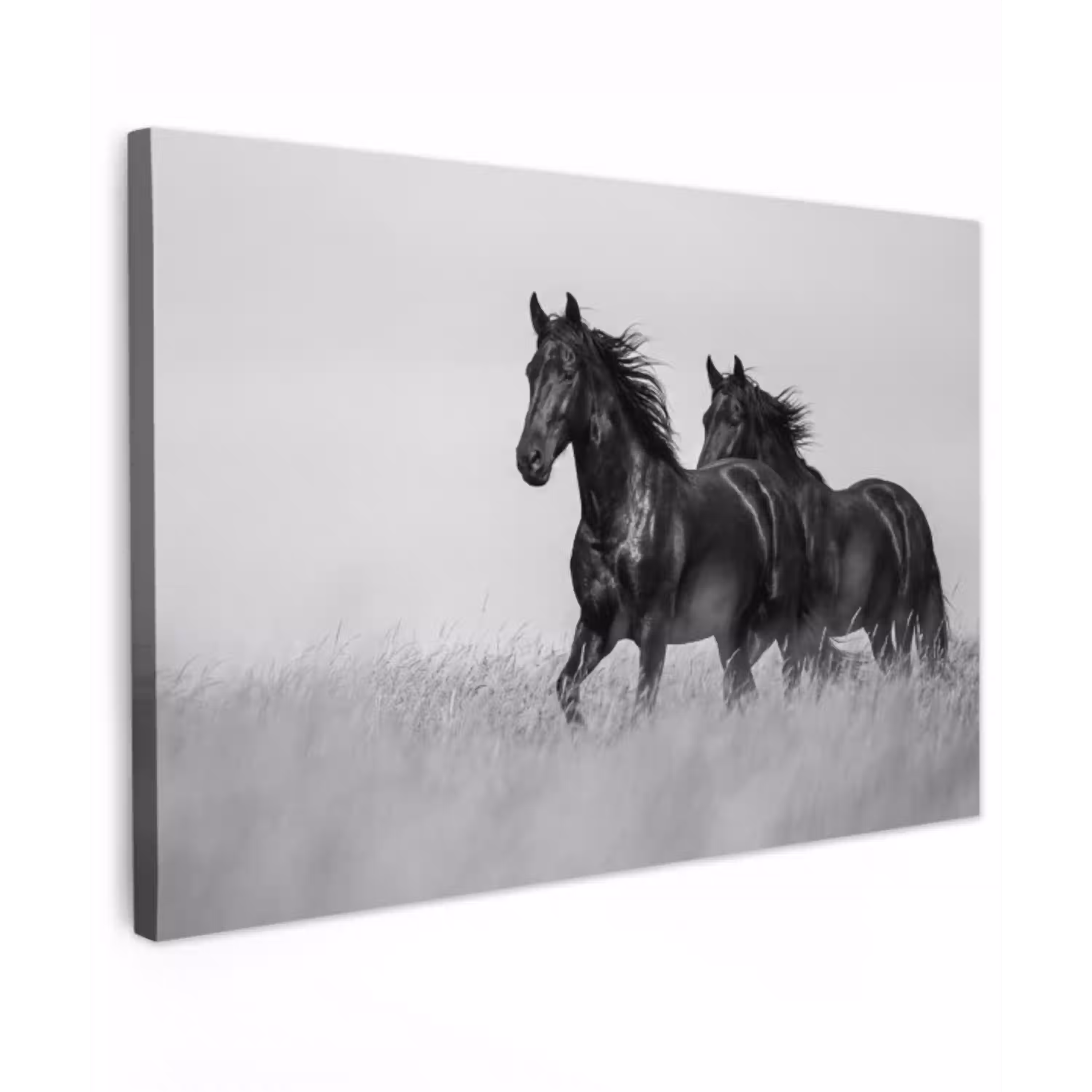 Paarden - Gras - Zwart - Wit Tuinposter op houten frame 2 cm dik klein -3d