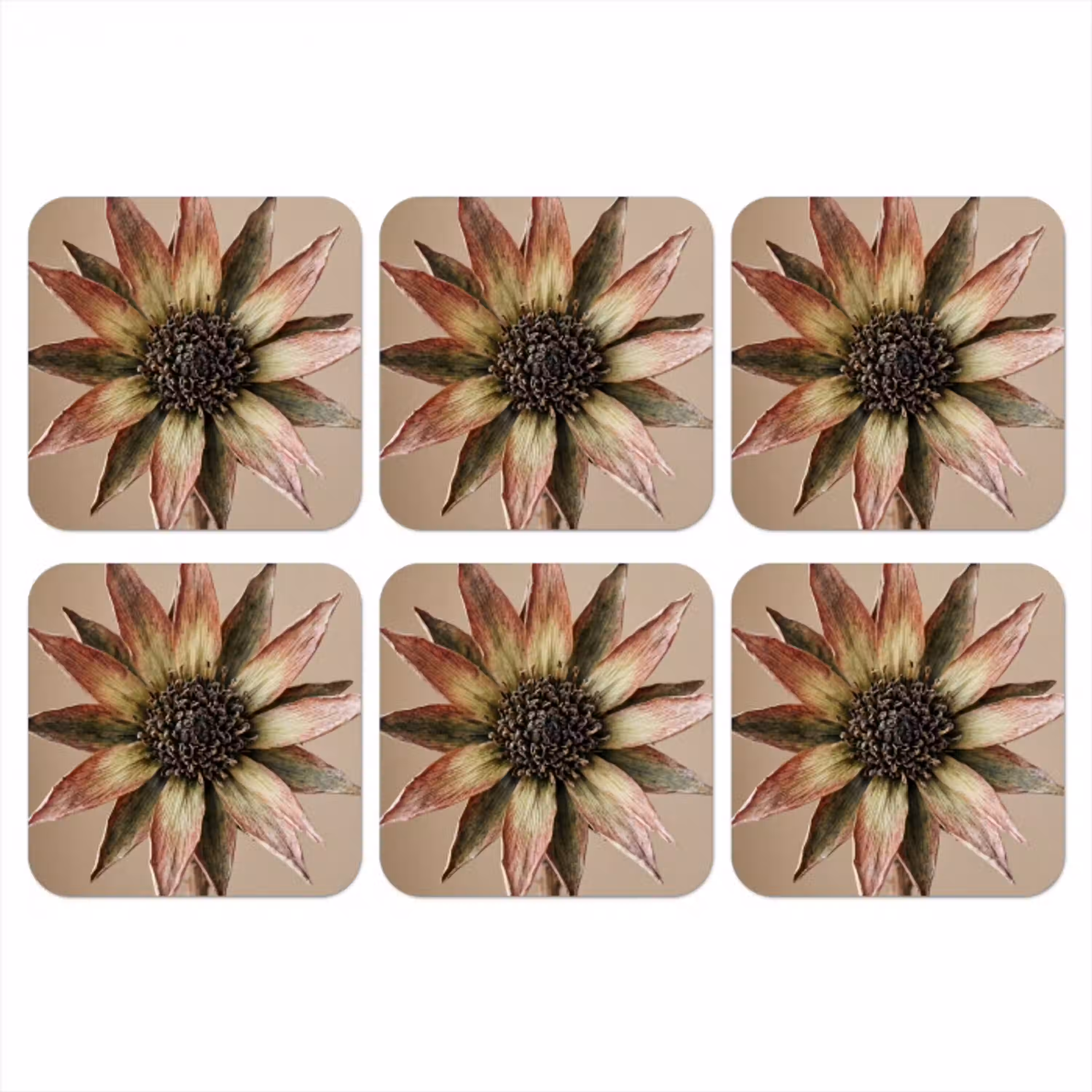 Droogbloem - Protea - Vintage - Beige - Rustiek onderzetter kurk middel -3d