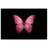 Vlinder - roze - Elegant poster papier klein -3d