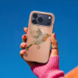 Roodborst - Natuur - Roze Toughcase MagSafe Apple iPhone 17 Pro Max klein -Sfeer1V