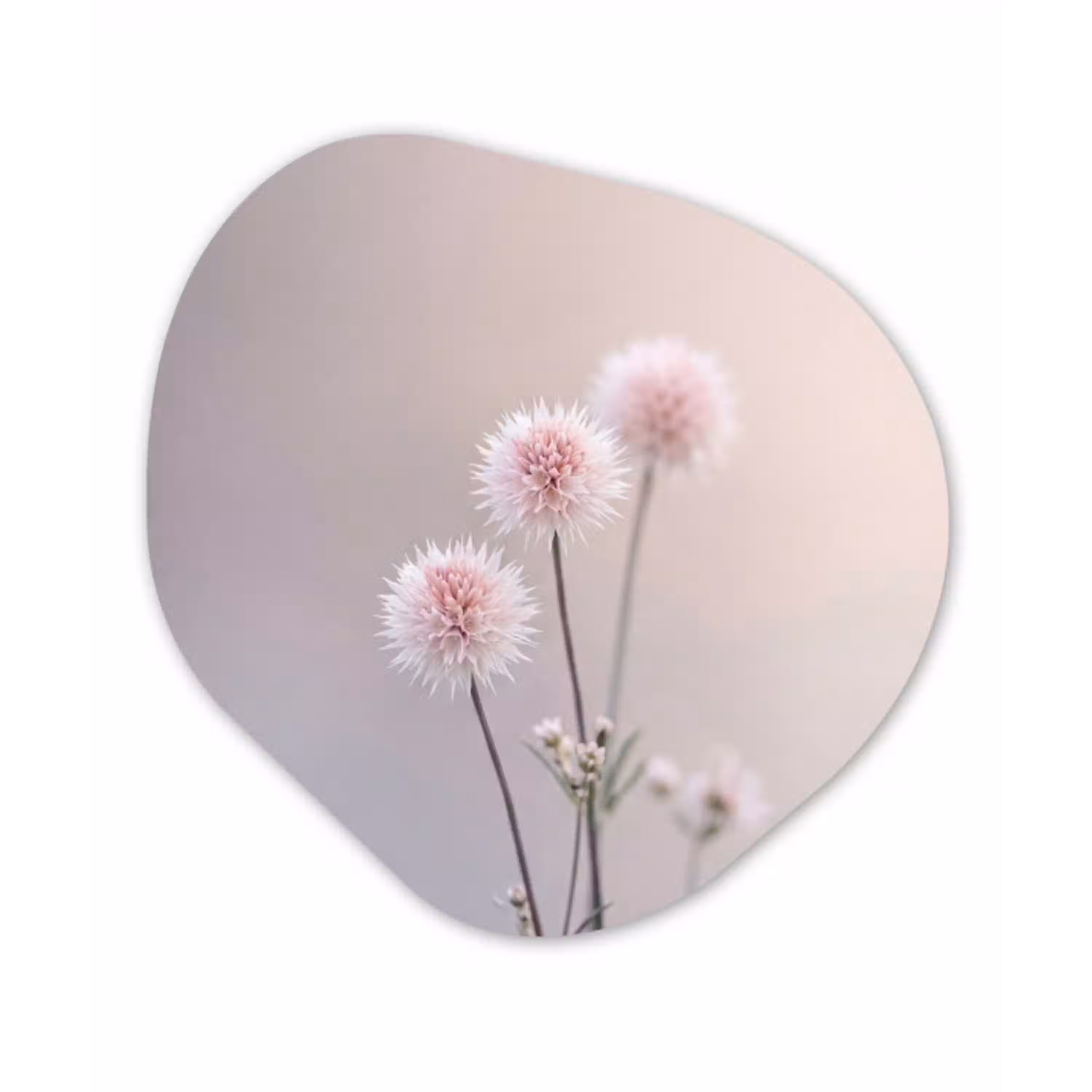 Bloemen - Bollen - Roze Wandcirkel Organisch Forex 3mm klein -3d