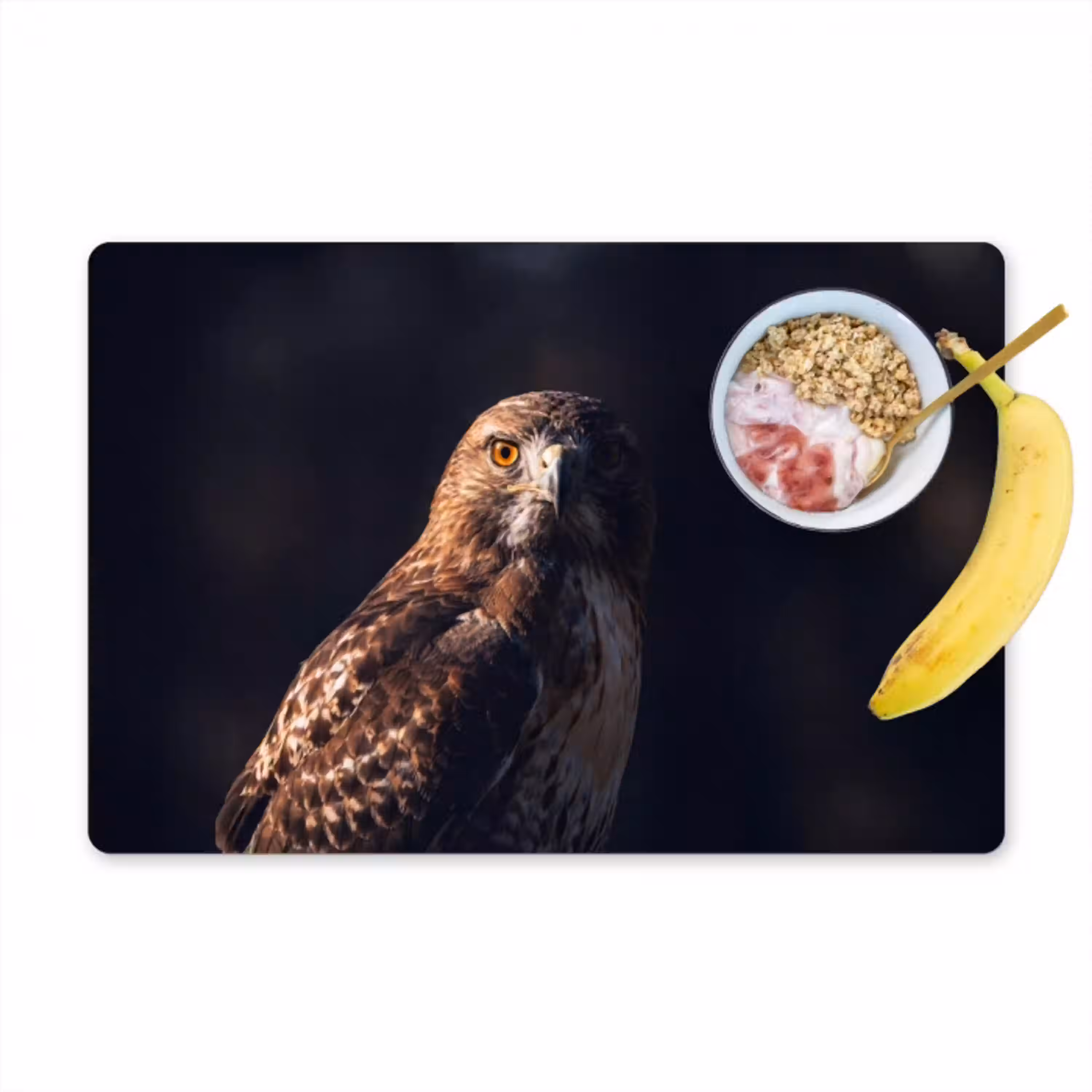 Roofvogel - Buizerd - Bruin Placemat vinyl groot -zzzproduct_Kitchenyeah-website