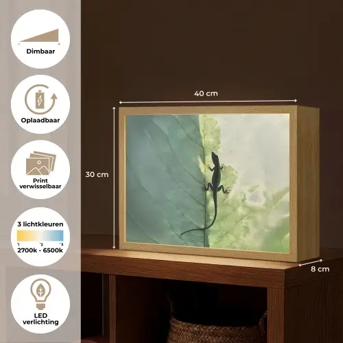 Hagedis - Blad - Nerven - Groen Light Box met batterij (Wandlamp) middel -USP_websiteoverzichtNL