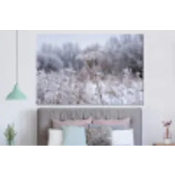 Schermbloem - Rijp - Kristallen - Winter - Delicaat forex 5mm xxl -slaapkamer
