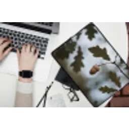 Eikel - Eikenblad - Bos - Herfst - Natuur laptophoes neopreen klein -bureau