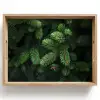 Sparrentakken - Knoppen - Naalden - Groen Dienblad Rechthoek middel -z3d_shopping