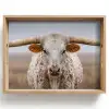 Longhorn - Grasveld - Dier Dienblad Rechthoek middel -z3d_shopping