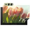 Tulpen - Roze - Zonnestralen Inductie beschemer met haakjes klein -3d