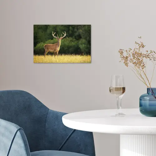 Hert - Gewei - Gras - Natuur - Dieren - Groen poster papier klein -sfeer3