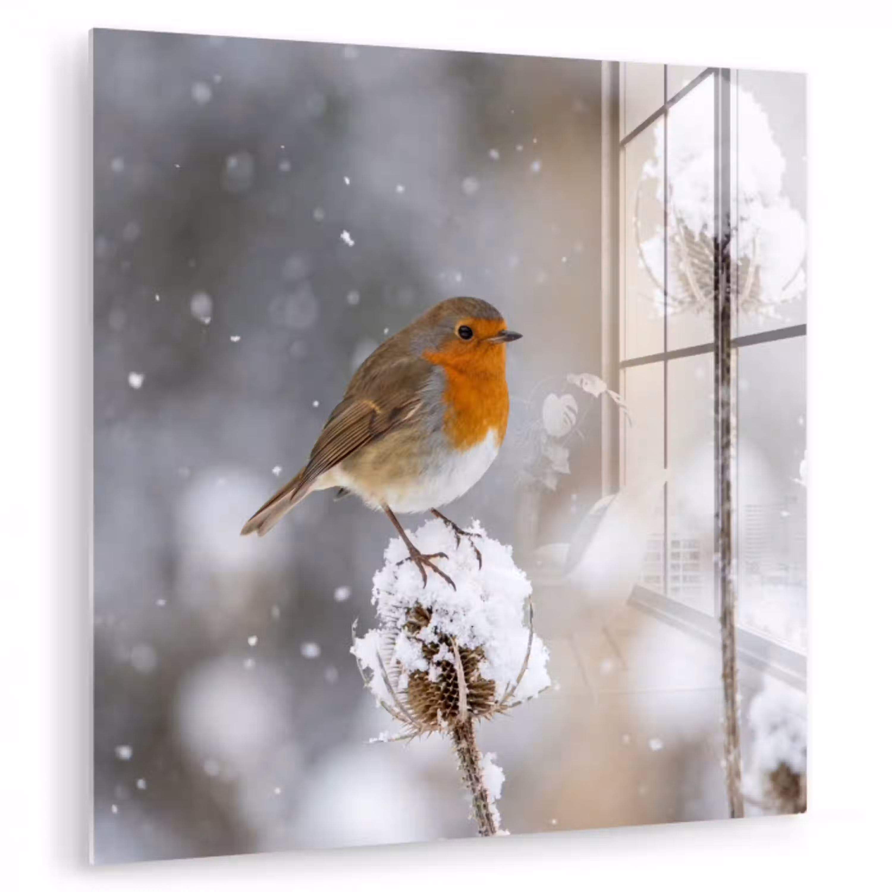 Roodborstje - Gedroogde bloem - Sneeuw - Winter - Vertederend plexiglas 5mm klein -zzzproduct_nieuw