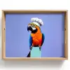 Papegaai - Koksmuts - Vogel - Leuk Dienblad Rechthoek middel -z3d_shopping