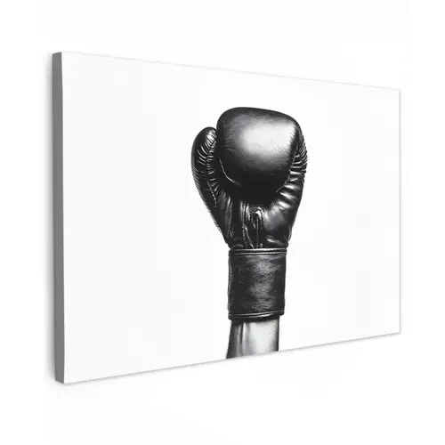Bokshandschoen - Zwart - Hand canvas 2cm klein -z3d