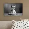 Sphynx - Kat - Dieren - Humor - Spaghetti - Zwart Wit canvas 2cm klein -sfeer3