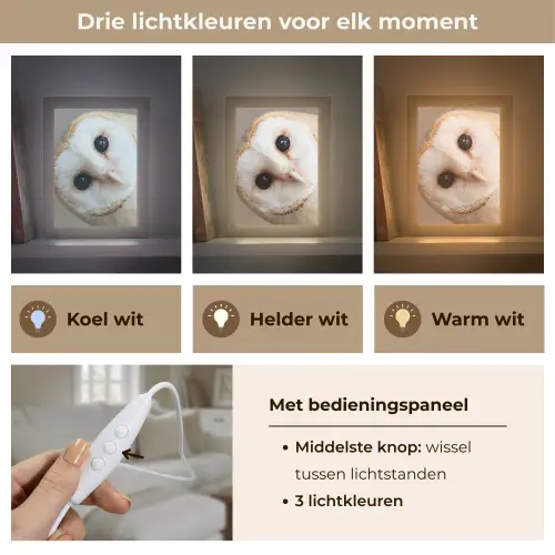 Uil - Bruin - Wit Light Box met kabel (Tafellamp) klein -USP_lichtkleurNL