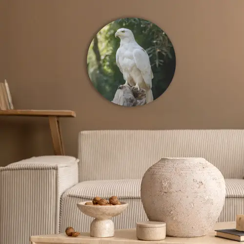 Arend - Hout - Wit - Planten Akoestische PET Vilt - Rond klein -sfeer1