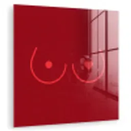 Minimalistisch - Lijnillustratie - Rood plexiglas 5mm klein -zzzproduct_nieuw