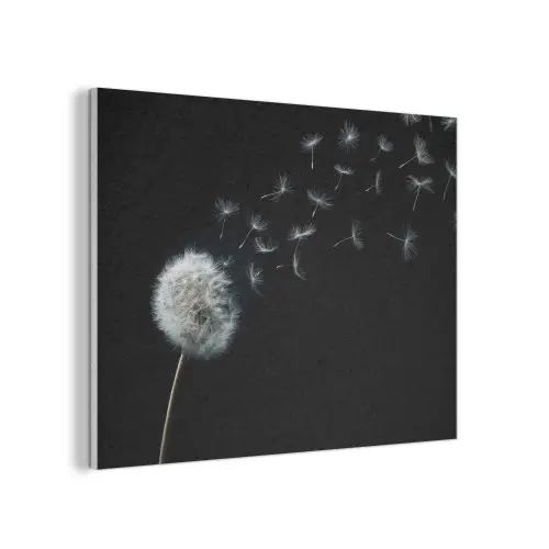 Paardenbloem - Zwart - Natuur PET vilt klein -3d