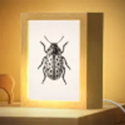 Kever - Insect - Vintage Light Box met kabel (Kinderlampje) klein -zzzz_3d_website