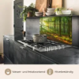 Zon - Bos - Bomen - Natuur - Herfst keuken achterwand 2 middel -usp_DE