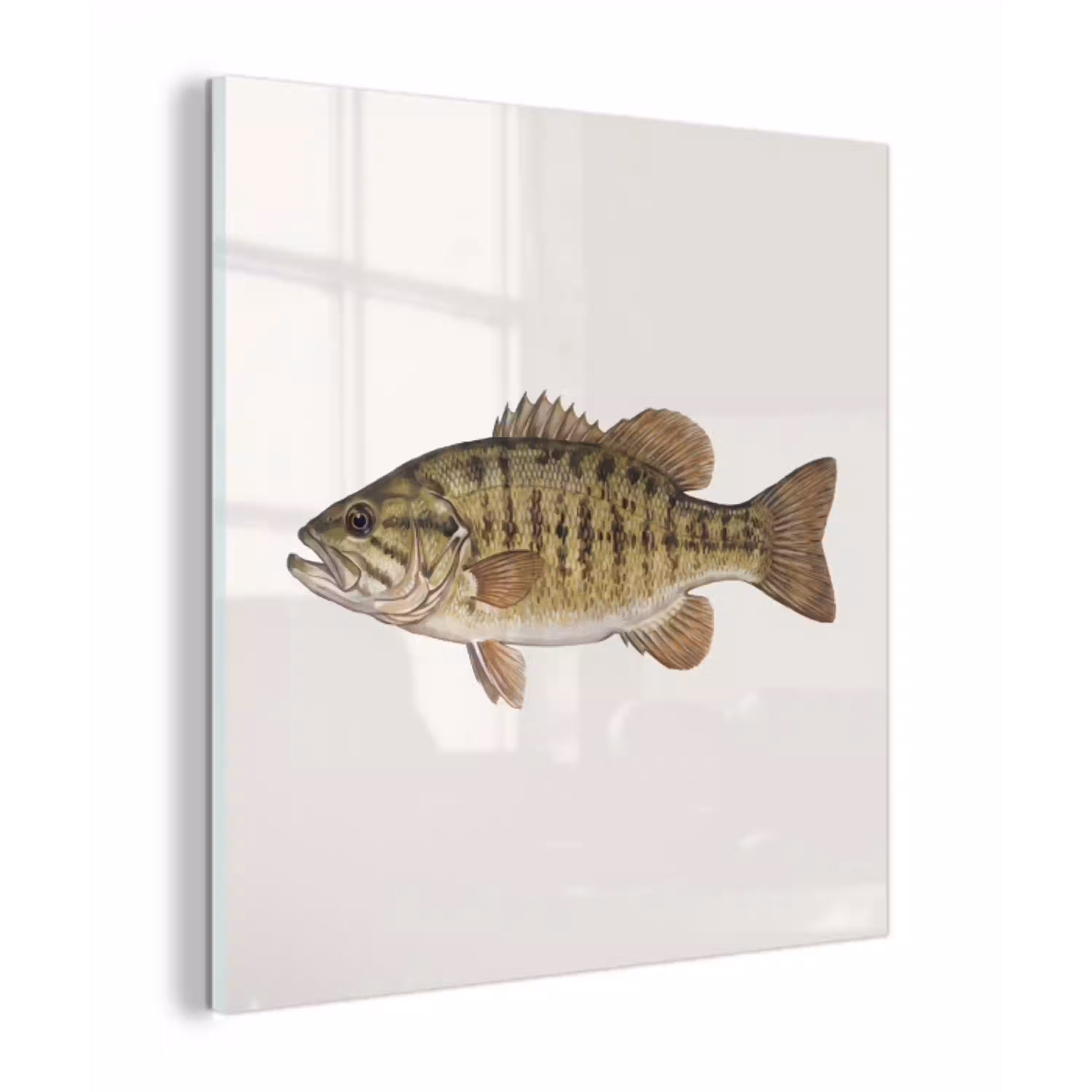 Vissen - Natuur - Vintage plexiglas 5mm klein -z3d