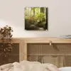 Bos - Bomen - Pad - Zon - Planten - Bladeren - Natuur plexiglas 5mm klein -sfeer4