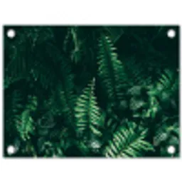 Bladeren - Jungle - Natuur - Tropisch - Planten tuinposter los doek klein -3d