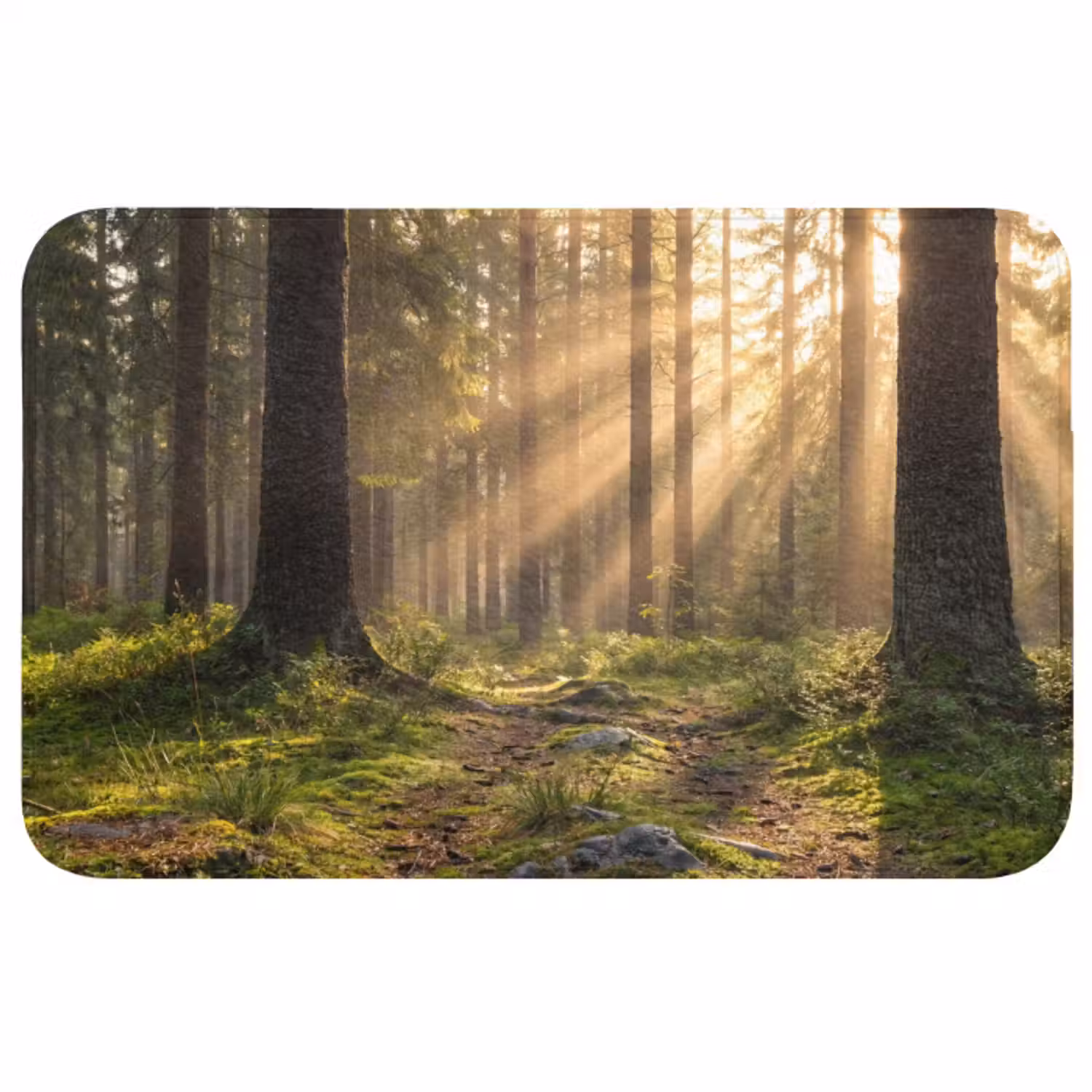 Badmat - Bos - Zonlicht - Gras