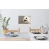 Uil - Bruin - Wit Muursticker klein -eettafel