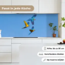 Papagaai - Vliegen - Blauw - Geel keuken achterwand 2 middel -sfeer4_DE