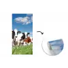 Koeien - Platteland - Weiland - Natuur - Dieren fotobehang vinyl groot -3d