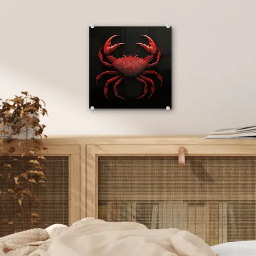 Krab - Rood - Vissen - Schaaldieren plexiglas 5mm klein -sfeer4