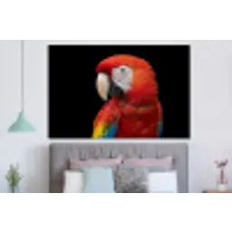 Ara - Portret - Rood forex 5mm xxl -slaapkamer