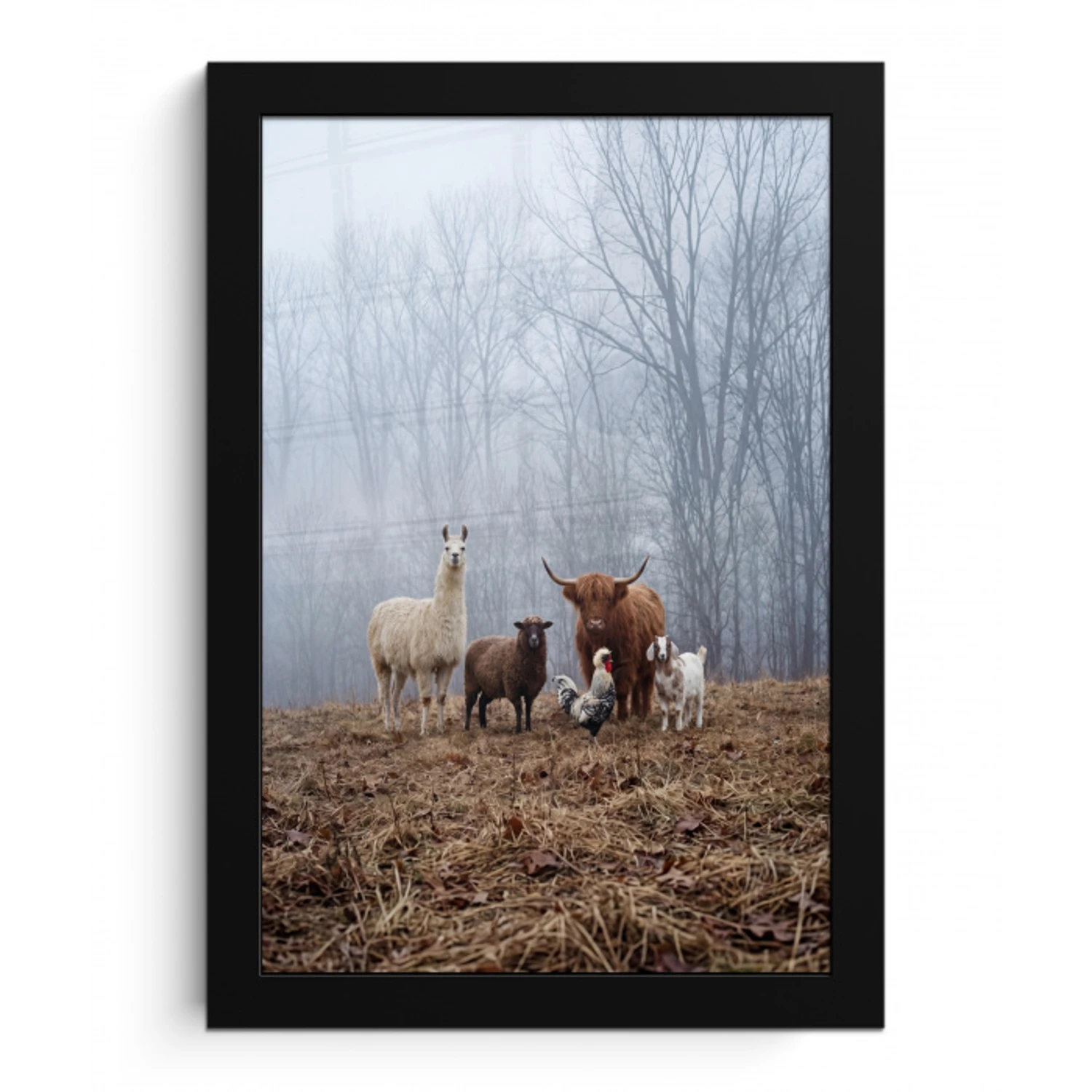 Boerderijdieren - Groep - Mist - Natuur - Rustiek fotolijst zwart zonder passe partout klein -3d