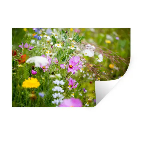 Bloemen - Natuur - Groen - Gras - Paars - Wit Muursticker klein -3d