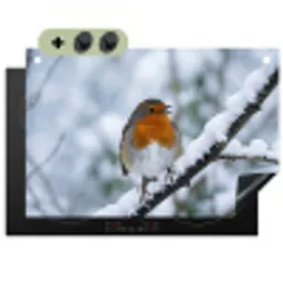 Roodborstje - Tak - Sneeuw - Winter - Levendig Inductie beschemer met haakjes klein -3d