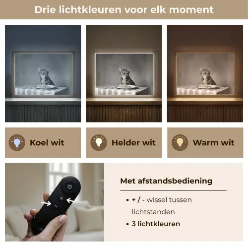 Bengaal - Kat - Tafelkleed - Zwart - Wit - Dier Light Box met batterij (Wandlamp) middel -USP_lichtkleurNL