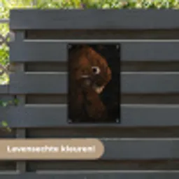 Papegaai - Vogel - Veren tuinposter los doek klein -sfeer3