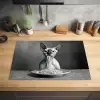 Sphynx - Kat - Dieren - Humor - Spaghetti - Zwart Wit Inductie beschermer vinyl 3mm klein -sfeer5