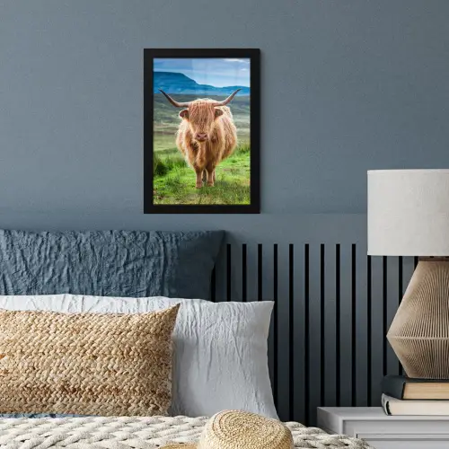 Schotse hooglander - Koe - Natuur - Berg - Gras fotolijst zwart zonder passe partout klein -sfeer3