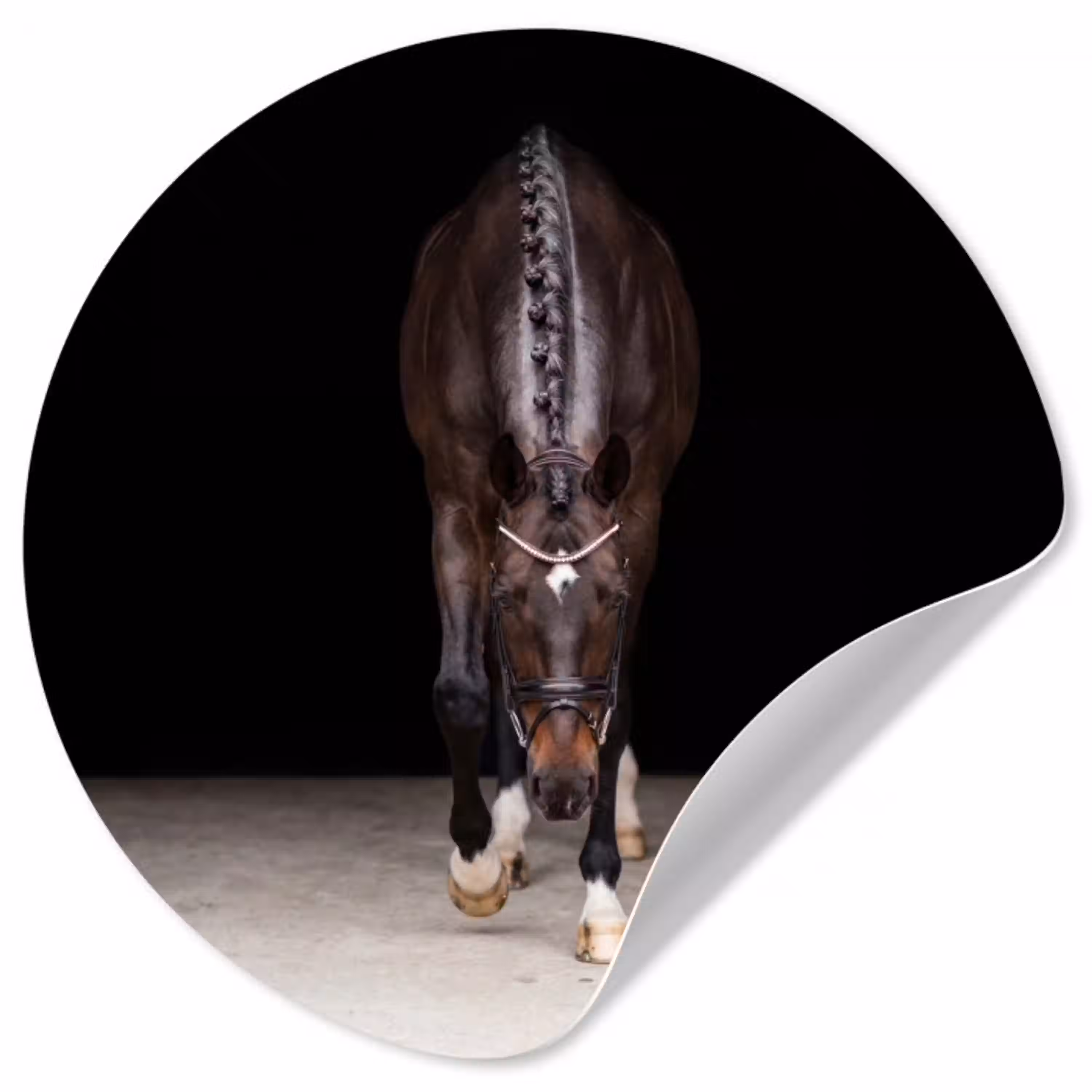 Paard - Modern - Portret Wandcirkel behangsticker klein -3d