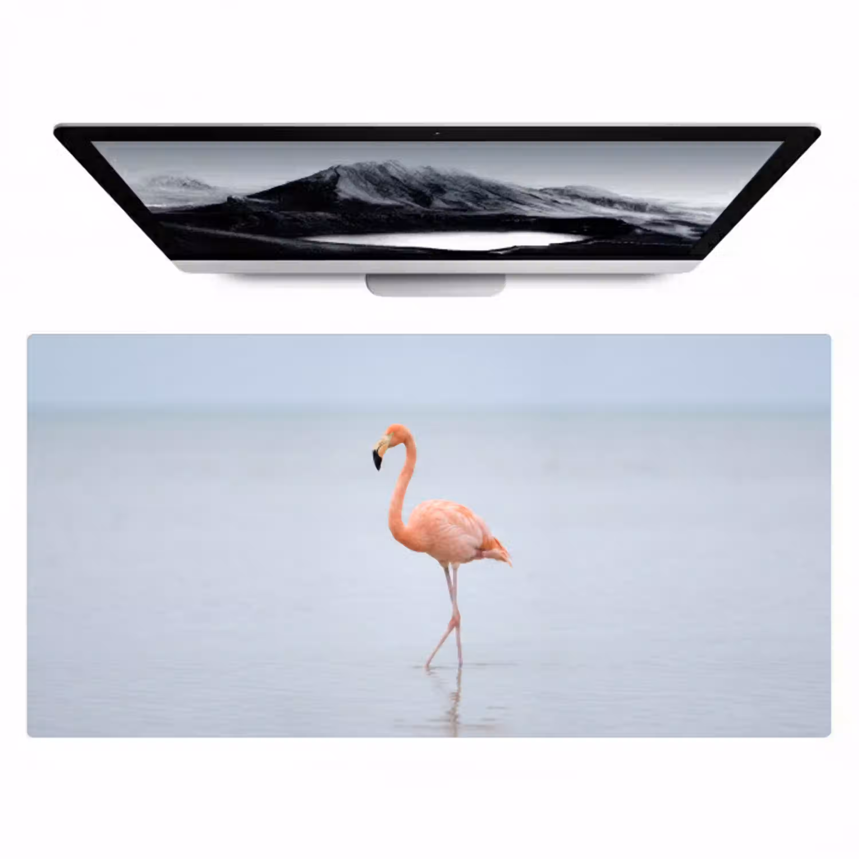 Flamingo - Zee - Roze Muismat XXL klein -zzz3d