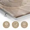 Schelp - Detail - Beige plexiglas 5mm klein -sfeer2