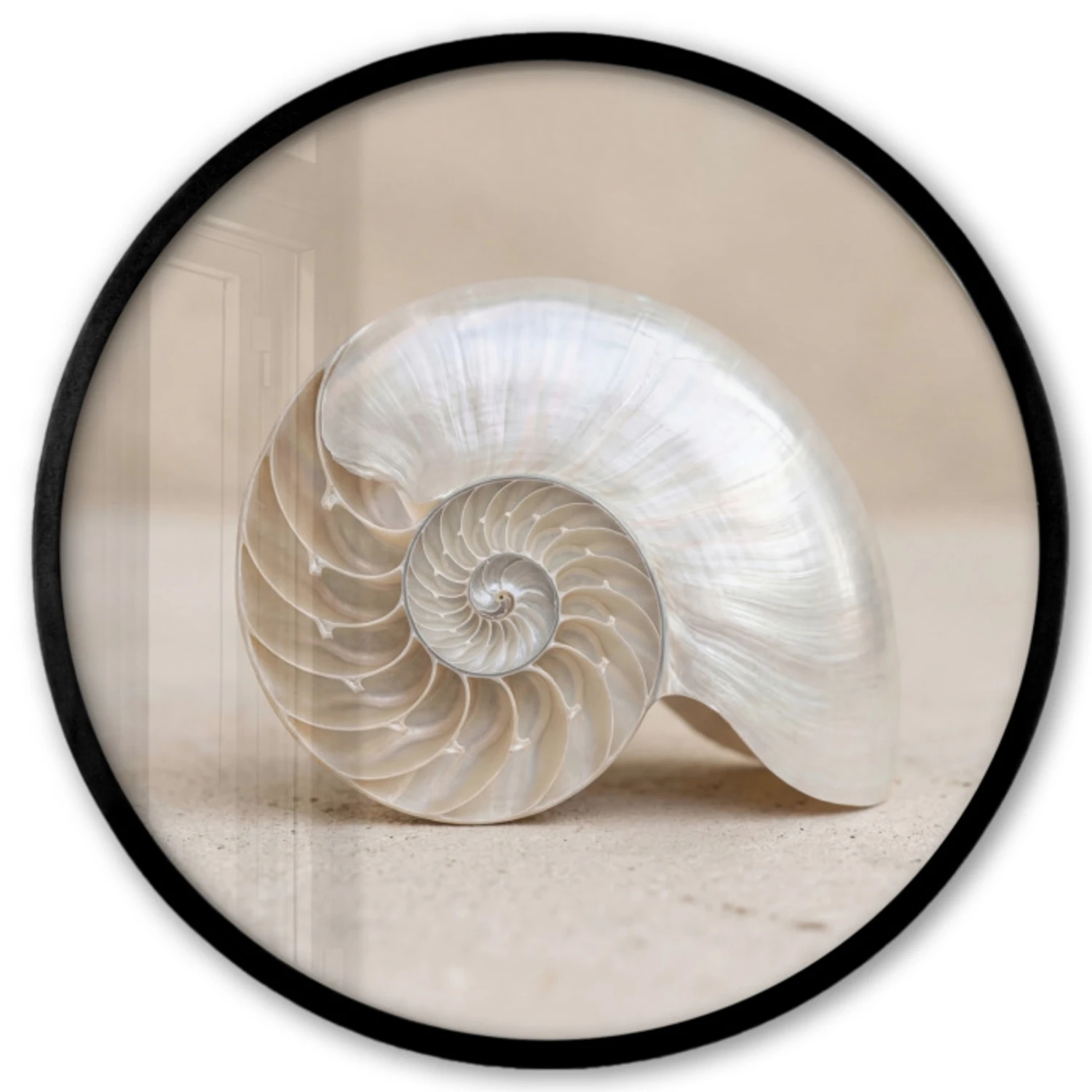 Ronde fotolijst - Schelp - Spiraal - Beige