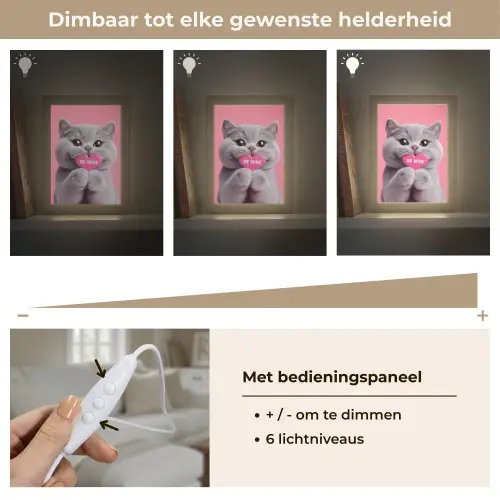 Kat - Valentijn - Roze - Liefde Light Box met kabel (Tafellamp) klein -USP_dimbaarNL