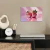 Disco - Fruit - Glitter - Strawberry poster papier klein -sfeer1